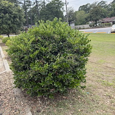 Commercial-Cleanup-Project-in-Conway-SC 16